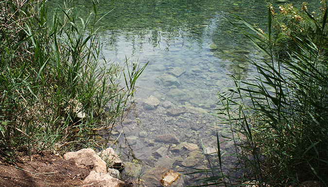 מים קרירים בפארק המעיינות