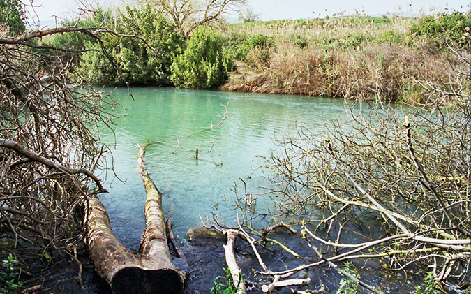 שמורת תל דן