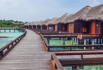 האיים המלדיביים - גן עדן