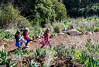 לטייל עם ילדים בחו