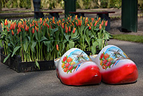 הולנד עם ילדים – אטרקציות 