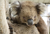 טיול בעמק יזרעאל