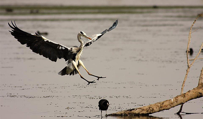 אגם החולה, צילום: נמר לוי