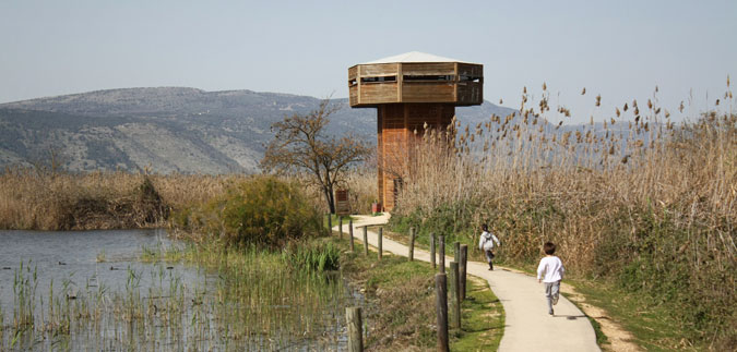 שמורת החולה