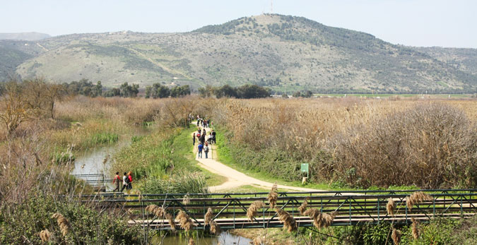 הגשר בשמורת החולה