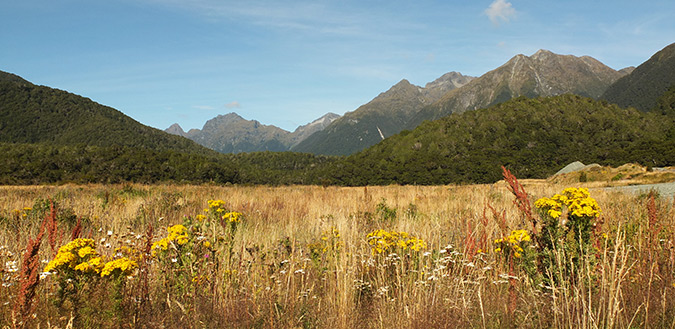 הדרך שמובילה אל המילפורד סאונד