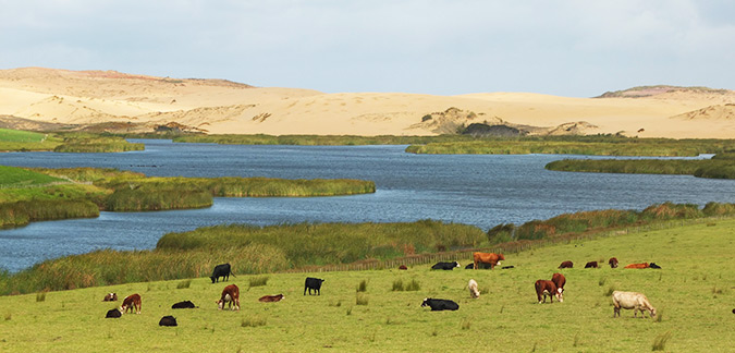 נוף בצבעים שונים בניו זילנד