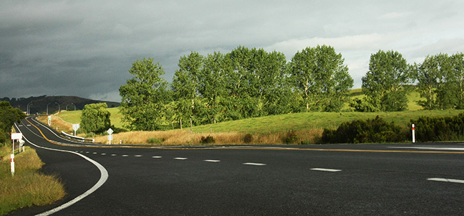 כביש מפותל בניו זילנד