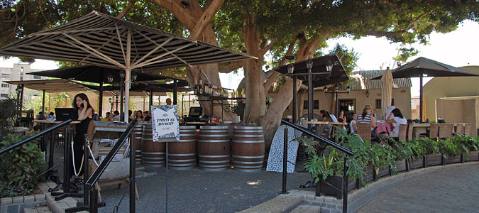 ויקי כריסטינה - בר יין