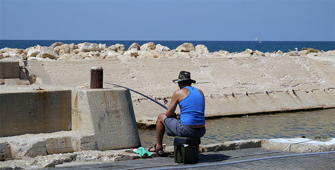 נמל יפו - שוק האוכל