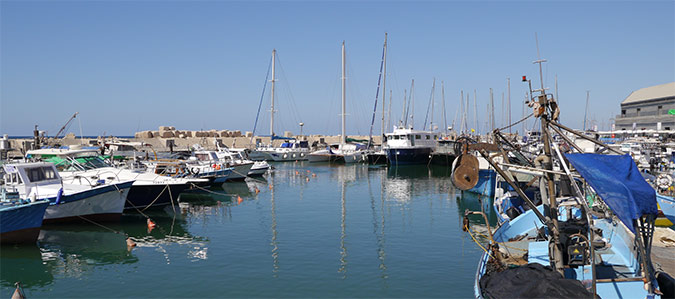 נמל יפו - שוק האוכל