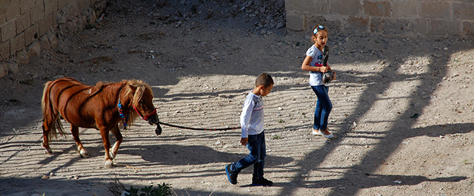 שוק עכו העתיקה