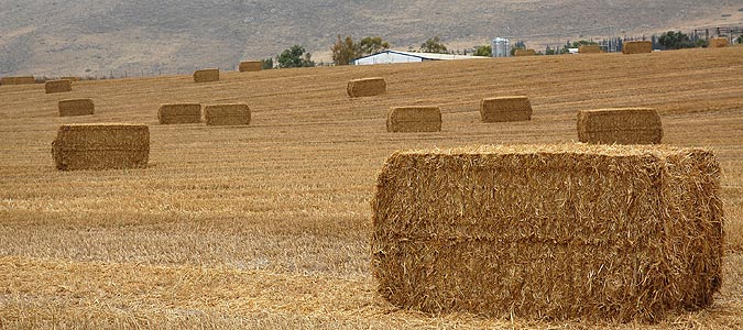 פארק המעיינות - עמק יזרעאל
