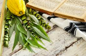 טיסות זולות לסוכות