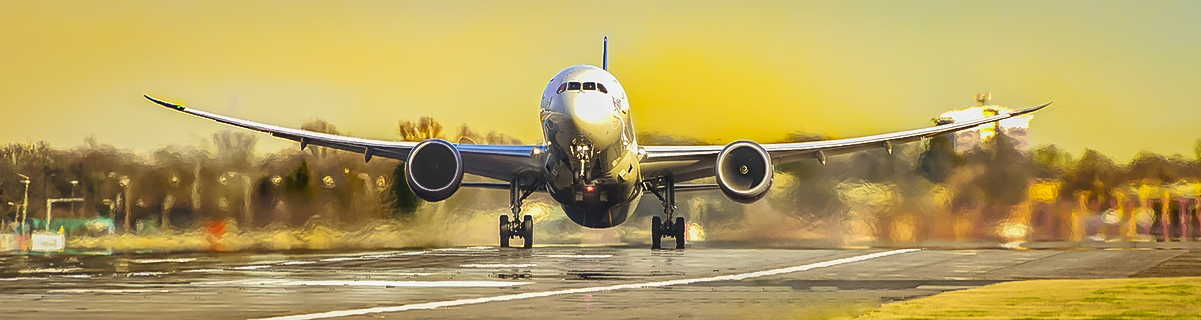 חברות תעופה שטסות לישראל